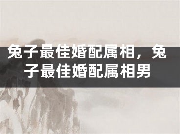 兔子最佳婚配属相，兔子最佳婚配属相男