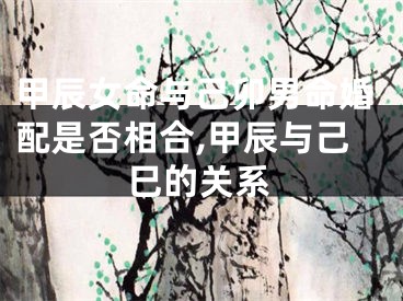 甲辰女命与己卯男命婚配是否相合,甲辰与己巳的关系