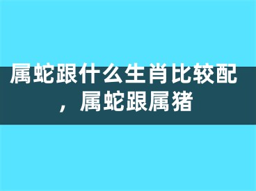 属蛇跟什么生肖比较配，属蛇跟属猪