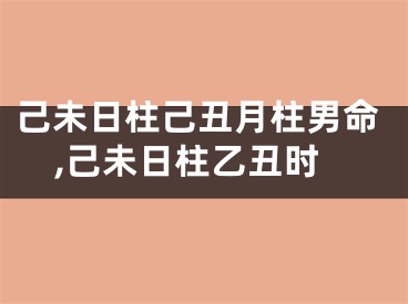 己未日柱己丑月柱男命,己未日柱乙丑时