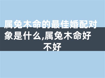 属兔木命的最佳婚配对象是什么,属兔木命好不好