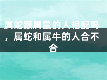 属蛇跟属鼠的人相配吗，属蛇和属牛的人合不合
