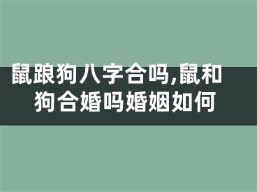 鼠踉狗八字合吗,鼠和狗合婚吗婚姻如何