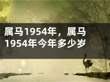 属马1954年，属马1954年今年多少岁