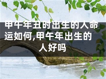 甲午年丑时出生的人命运如何,甲午年出生的人好吗
