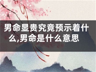 男命显贵究竟预示着什么,男命是什么意思