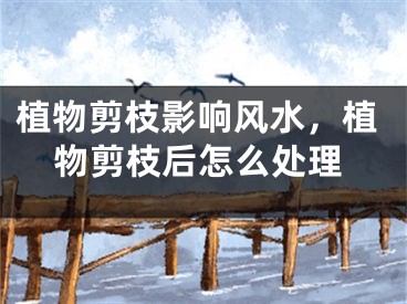 植物剪枝影响风水，植物剪枝后怎么处理