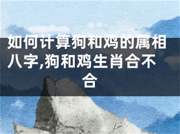 如何计算狗和鸡的属相八字,狗和鸡生肖合不合