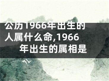 公历1966年出生的人属什么命,1966年出生的属相是