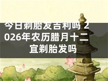 今日剃胎发吉利吗 2026年农历腊月十二宜剃胎发吗