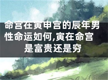 命宫在寅申宫的辰年男性命运如何,寅在命宫是富贵还是穷