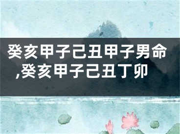 癸亥甲子己丑甲子男命,癸亥甲子己丑丁卯