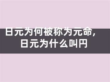 日元为何被称为元命,日元为什么叫円
