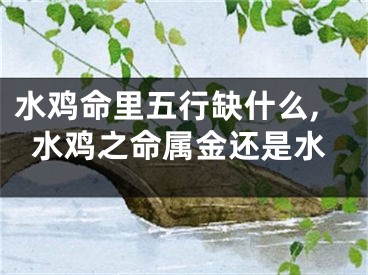 水鸡命里五行缺什么,水鸡之命属金还是水