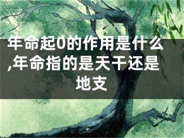 年命起0的作用是什么,年命指的是天干还是地支