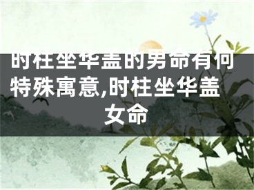 时柱坐华盖的男命有何特殊寓意,时柱坐华盖女命