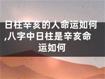 日柱辛亥的人命运如何,八字中日柱是辛亥命运如何