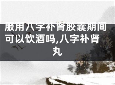 服用八字补肾胶囊期间可以饮酒吗,八字补肾丸