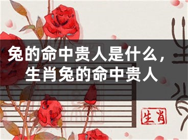 兔的命中贵人是什么，生肖兔的命中贵人