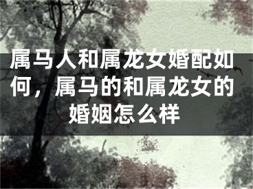 属马人和属龙女婚配如何，属马的和属龙女的婚姻怎么样