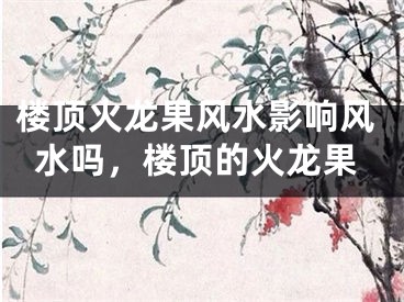 楼顶火龙果风水影响风水吗，楼顶的火龙果