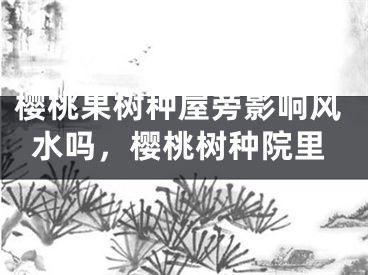 樱桃果树种屋旁影响风水吗，樱桃树种院里
