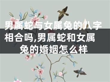 男属蛇与女属兔的八字相合吗,男属蛇和女属兔的婚姻怎么样