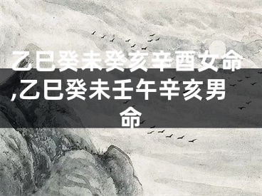 乙巳癸未癸亥辛酉女命,乙巳癸未壬午辛亥男命