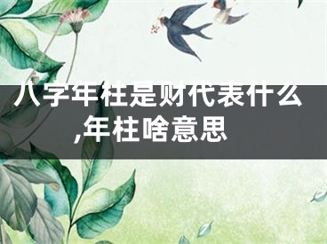 八字年柱是财代表什么,年柱啥意思