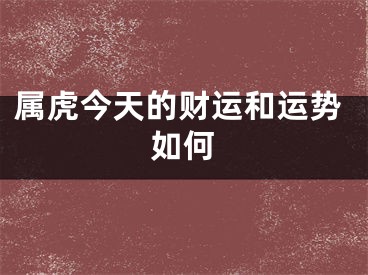 属虎今天的财运和运势如何