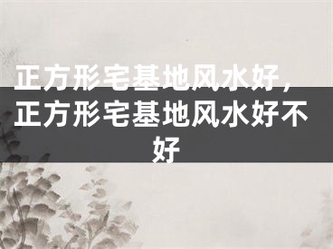 正方形宅基地风水好，正方形宅基地风水好不好