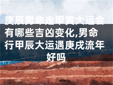 庚辰男命走甲寅大运会有哪些吉凶变化,男命行甲辰大运遇庚戌流年好吗
