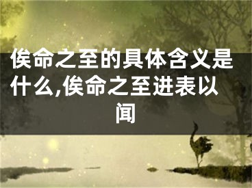 俟命之至的具体含义是什么,俟命之至进表以闻