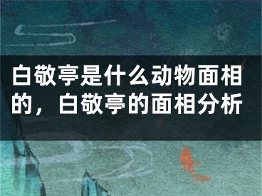 白敬亭是什么动物面相的，白敬亭的面相分析