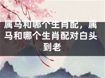属马和哪个生肖配,属马和哪个生肖配对白头到老