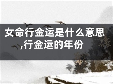 女命行金运是什么意思,行金运的年份