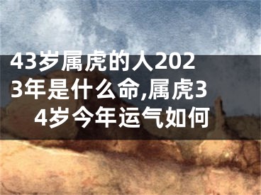 43岁属虎的人2023年是什么命,属虎34岁今年运气如何