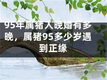 95年属猪人晚婚有多晚，属猪95多少岁遇到正缘