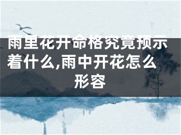 雨里花开命格究竟预示着什么,雨中开花怎么形容