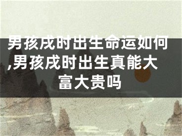 男孩戌时出生命运如何,男孩戌时出生真能大富大贵吗