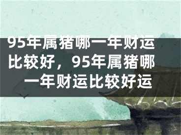95年属猪哪一年财运比较好，95年属猪哪一年财运比较好运