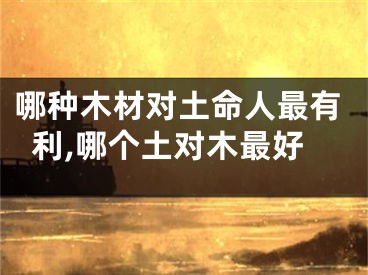 哪种木材对土命人最有利,哪个土对木最好