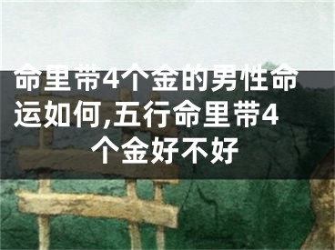 命里带4个金的男性命运如何,五行命里带4个金好不好