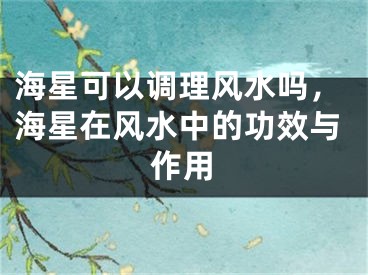 海星可以调理风水吗，海星在风水中的功效与作用