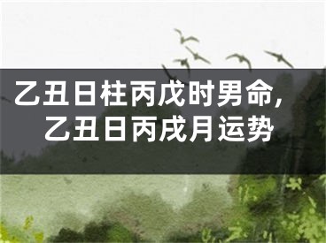 乙丑日柱丙戊时男命,乙丑日丙戌月运势