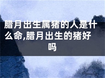 腊月出生属猪的人是什么命,腊月出生的猪好吗