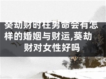 癸劫财时柱男命会有怎样的婚姻与财运,葵劫财对女性好吗