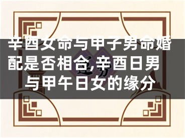 辛酉女命与甲子男命婚配是否相合,辛酉日男与甲午日女的缘分