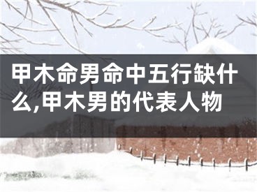 甲木命男命中五行缺什么,甲木男的代表人物