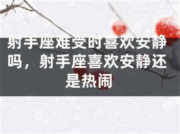 射手座难受时喜欢安静吗，射手座喜欢安静还是热闹